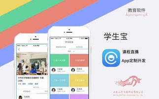 賦能教育未來 教育軟件定制開發的深度解析